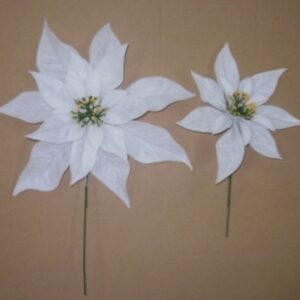 7" WHITE POINSETTIA