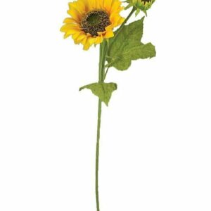 cfs0120YEL595-36inch-NaturalSunflower