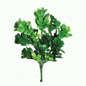 CFS6100GN650-Succulent-Leaf-Bush-x-5